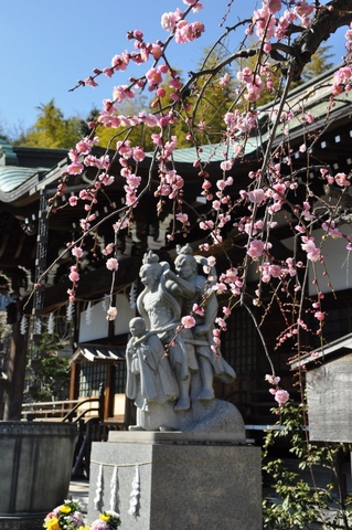 妙法寺の梅