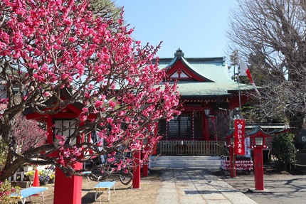 岡村天満宮の梅