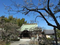 妙法寺 紹介写真1