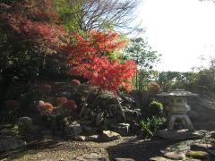 根岸なつかし公園 紹介写真3