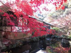 久良岐能舞台庭園 紹介写真2
