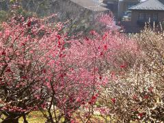 岡村公園 紹介写真1