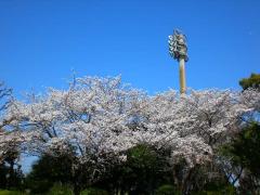 岡村公園 紹介写真3