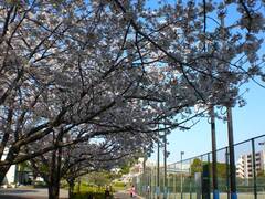 新杉田公園 紹介写真2