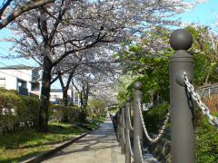 杉田川ふれあい散歩道 紹介写真2