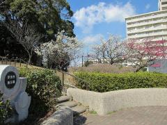 洋光台西公園 紹介写真1