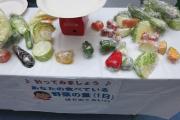 一日の野菜摂取量の測定