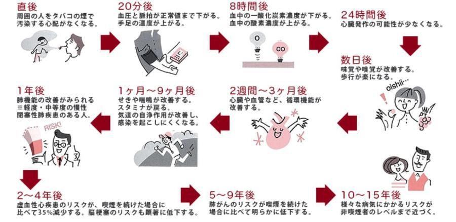 禁煙後、数か月で咳や体力低下が改善します。10年たてば病気の発症リスクが非喫煙者レベルになります。