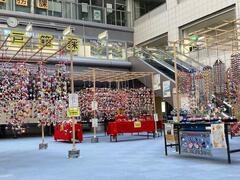 R6年度展示の様子