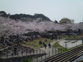 地蔵原の水辺