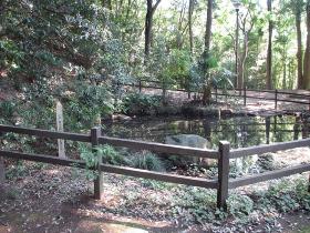 いずみ中央公園・馬洗いの池