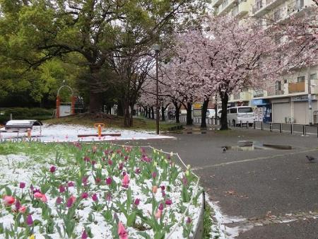 小中学生部門かめ太郎賞の写真