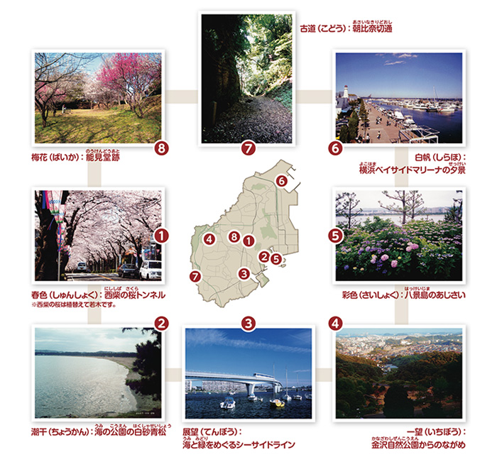 新金沢八景（しんかなざわはっけい）