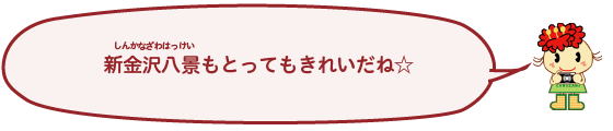 新金沢八景（しんかなざわはっけい）もとってもきれいだね！