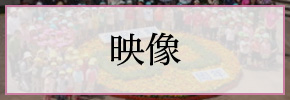 映像