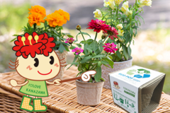 環境にやさしい植木鉢です