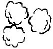 綿花の画像です