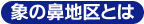 象の鼻地区とは