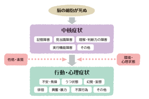 認知症の症状（中核症状、行動・心理症状）