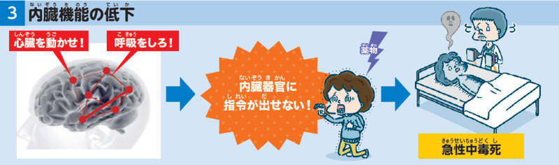 内蔵機能の低下