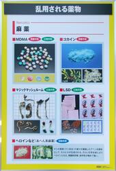 乱用される薬物（麻薬）