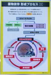 薬物依存・形成プロセス[Ⅰ]
