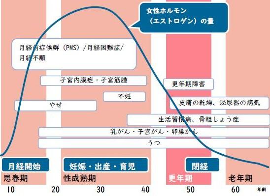 女性ホルモンの変動