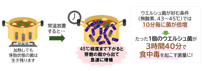 ウエルシュ菌が増える条件の画像