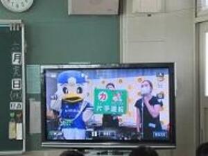 はまっこ