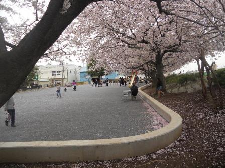 日吉六丁目鏡ケ淵公園　写真