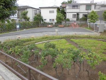 日吉本町一丁目第二公園