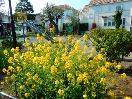 大曾根第四公園　写真３