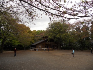 綱島公園の写真１