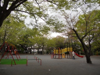 綱島公園の写真２