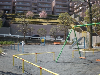 綱島台公園の写真１