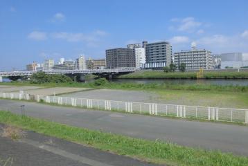 鶴見川樽町公園草地広場