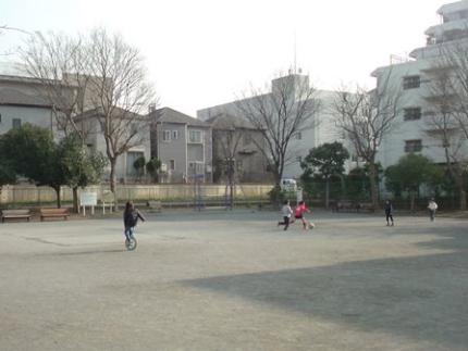 大豆戸公園2