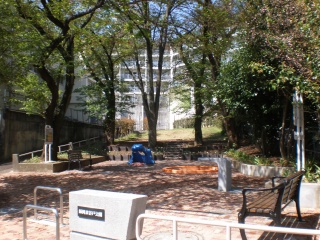 師岡表谷戸公園の写真１