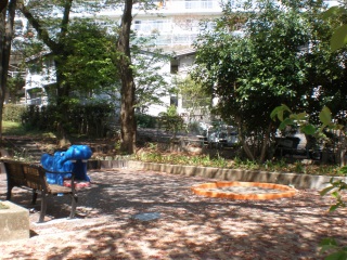 師岡表谷戸公園の写真２