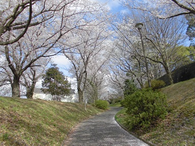 篠原西町公園　上の広場