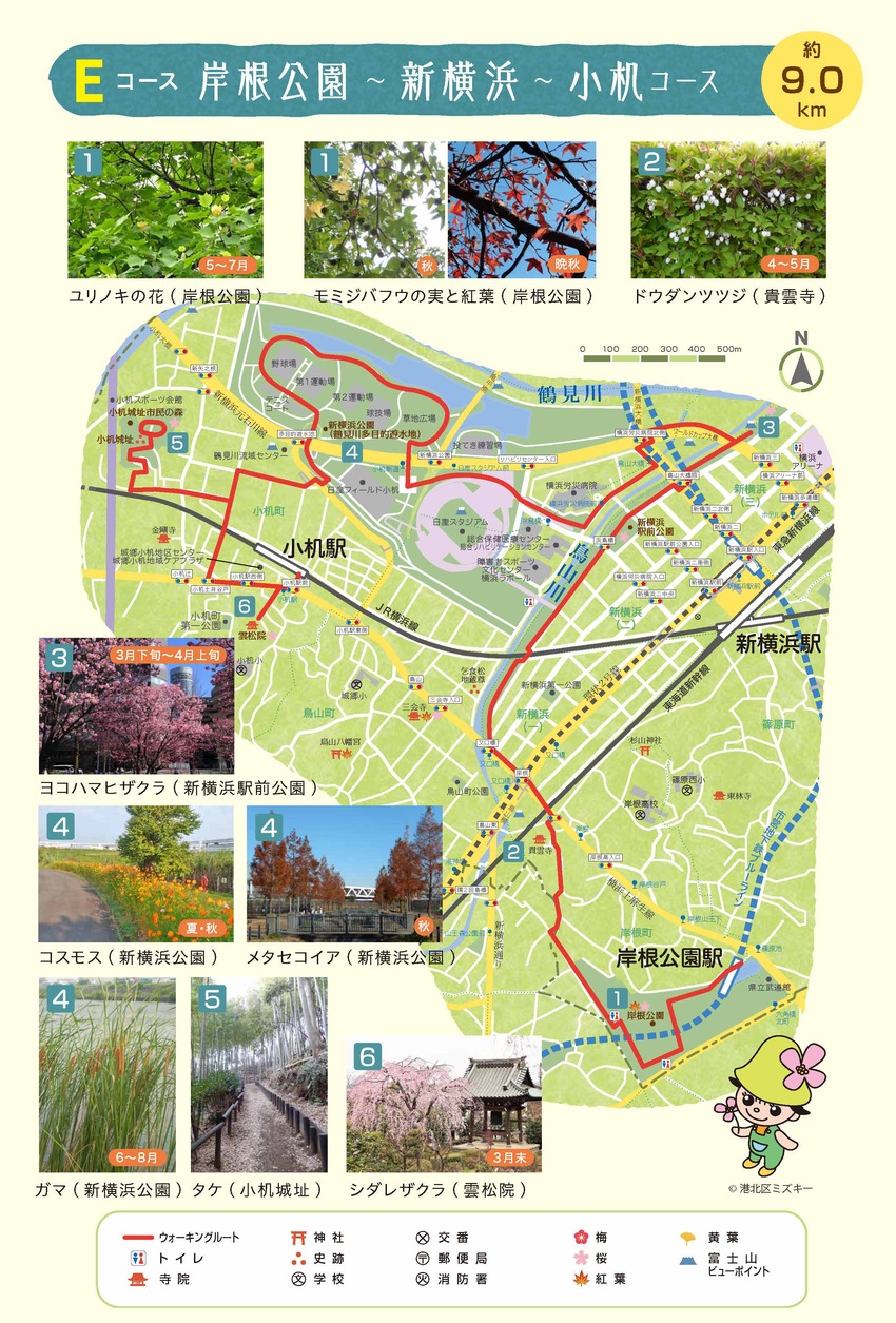 Eコース