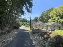 新吉田