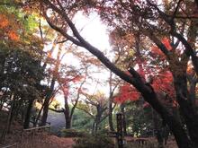 小机城址