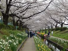 江川緑道