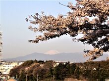 新羽丘陵公園