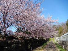 西方寺