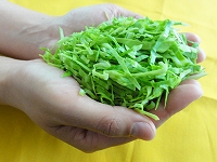 野菜1