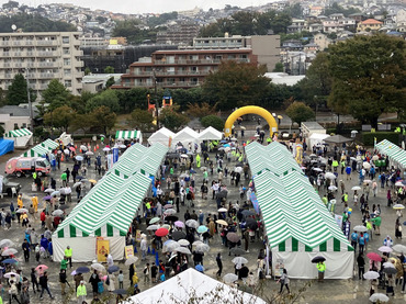 港南ふれあい公園の様子