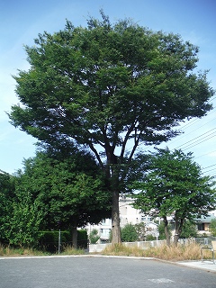 六反田公園の紹介でした！