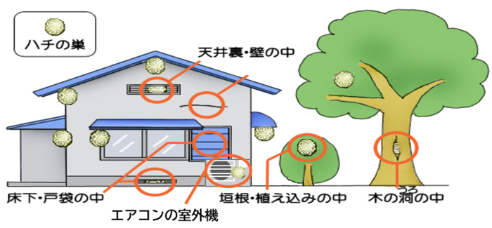 巣を作られやすい場所